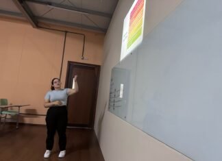 Veteranos socializam experiências de estágio